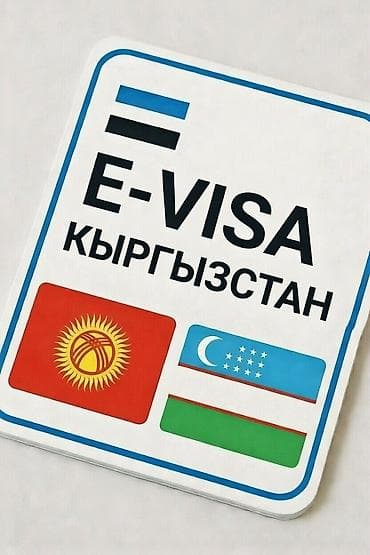 Помощь гражданам Узбекистана в заполнении визовой анкеты в Кыргызстан