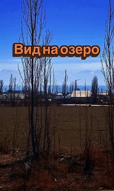 ысык куле: 6 соток, Кызыл китеп — 2