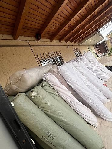 Үйдү ижарага алам: Үй, 330 м², 8 бөлмө, Менчик ээси, Эски ремонт — 2