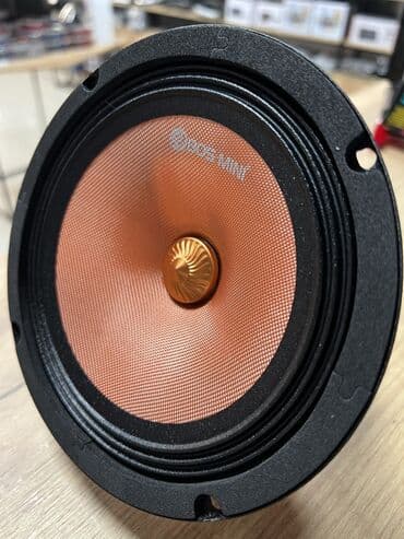 динамик w210: Эстрадная акустика от компании Bos-mini Размер 16.5 см Номинал 180 — 1