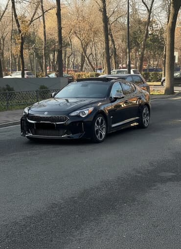 по всем вопросам обращаться по номеру: Kia : 2020 г., 2 л, Автомат, Бензин, Седан — 1