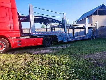 собаки овчарка: Прицеп, DAF, Автовоз — 4