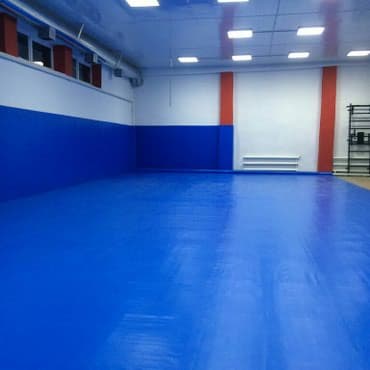 строительство мини футбольного поля цена: 🥋 Борцовские ковры, маты, боксёрские и ММА ринги под заказ 📌 — 2