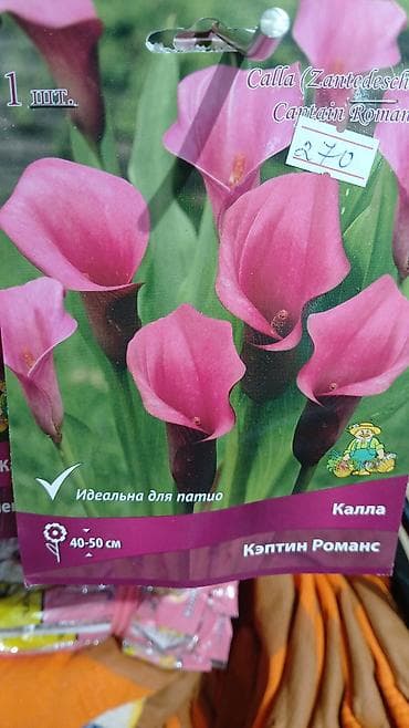 Хоста — набор сортов (по 1 шт. в упаковке) Доступные сорта по — 5