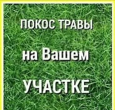 мечы: Аймактарды жыйнап тазалоо, Уборка двора и сада — 6