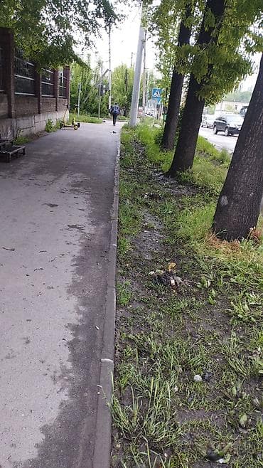 интернет магазин одежды: Уборка территории, Уборка двора и сада — 2