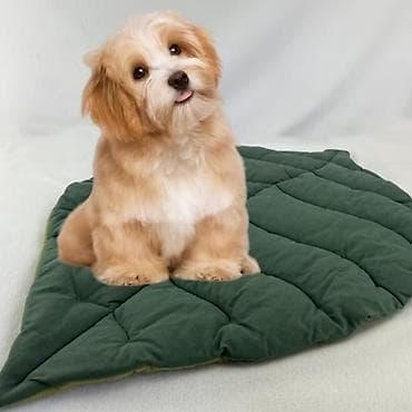 лежанки: Мягкая лежанка для кошек и собак - Прямоугольная форма с высокими — 4