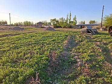 2 комнаты собственник: 13200 соток, Для строительства, Красная книга — 4