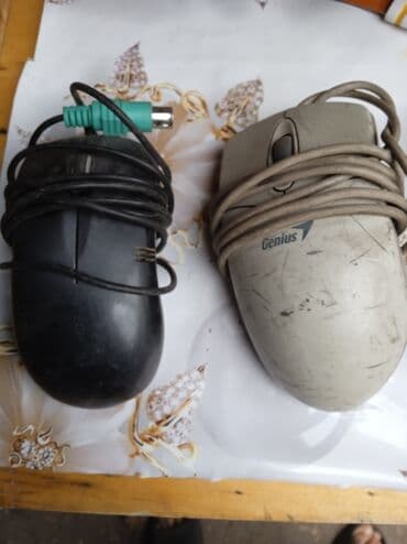 щенки ризеншнауцера в дар: Отдам за пачку чая пиала 100г — 1