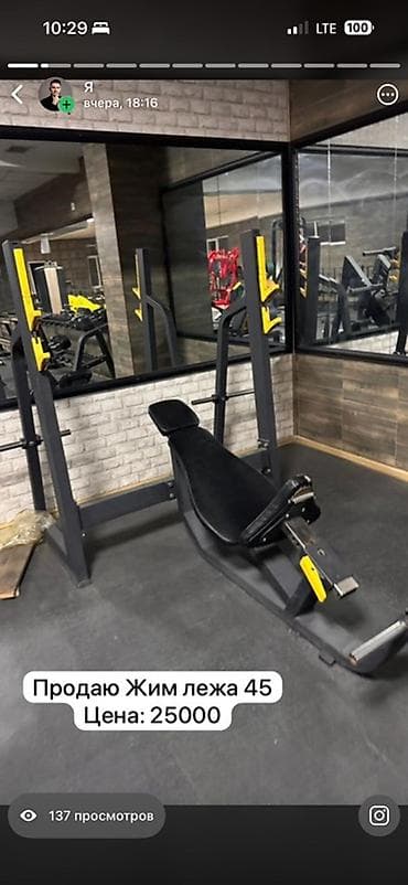 Охота и рыбалка: Силовой тренажер, Для спины — 9