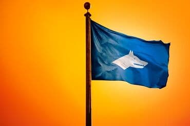 оборудование для фитнеса: 🎨 ИИ АНИМАЦИЯСЫ БОЮНЧА КУРСТАР — келечектин кесибин бүгүн үйрөн! 🤖 — 1