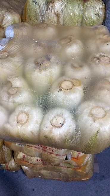 фермент для сыра: Капуста Пекинская, Оптом, В розницу — 2