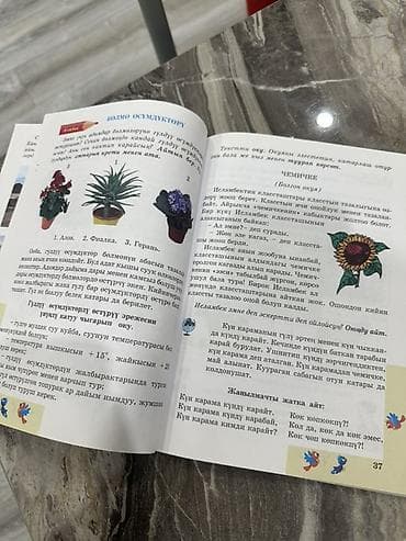 Учебник «Мекен таануу. — автор Г. И. Адилова. - Предмет: «Мекен — 2