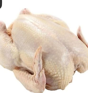 животные для дома: Целая тушка бройлера - Вид продукта: охлаждённая/замороженная тушка — 1