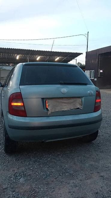 Транспорт: Skoda Fabia: 2003 г., Хетчбек — 6