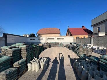 сементь: Джамбыльский цемент, M-500 — 1