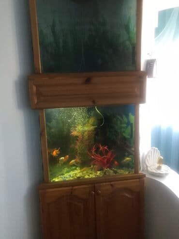 Продаю аквариум, угловой в хорошем состоянии цена 10000с 2 по 150