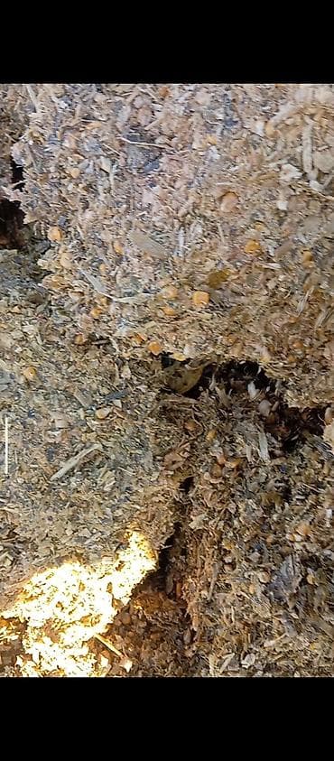 мел сьедобный: 50% КУКУРУЗЫ 25 кг ВЕС,С погрузкой выше 5 тонн договорная — 2