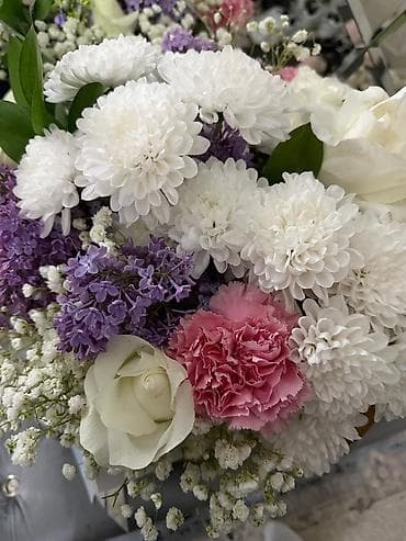 орхидея бишкек: Продаю цветы — 3