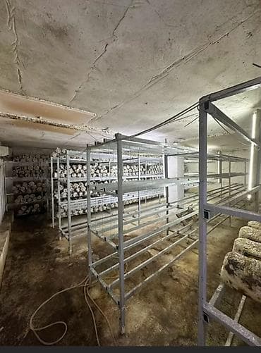 Недвижимость: Цех, 1140 м² — 3