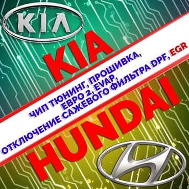 runx alex: Без выезда — 5