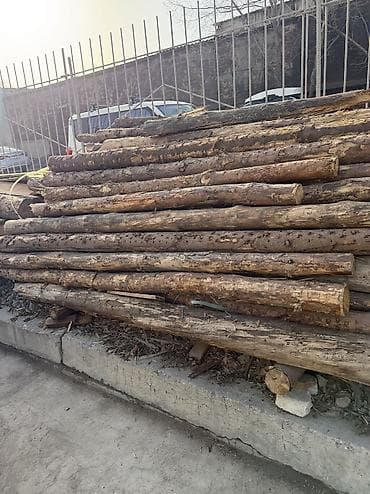 леса турецкие: Срочно!!! Продается Кругляк(сосна, пихта, тополь и др. породы)длина — 10