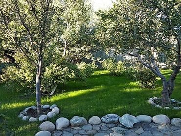 курен: Переносной уличный курятник-цыплятник «День‑ночь» - Назначение — 5