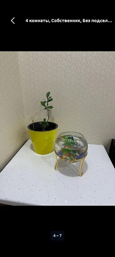 vip kant: 4 комнаты, Собственник, Без подселения, С мебелью полностью — 4