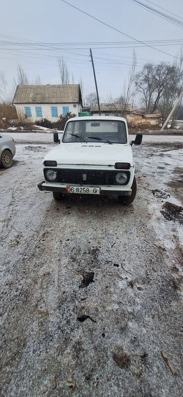 Транспорт: ВАЗ (ЛАДА) 4x4 Niva: 1990 г., 1.6 л, Механика, Бензин, Купе — 5
