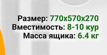 куриные крылышки: Продаю Пластиковый транспортировочный ящик для птицы (оранжевый) - — 2