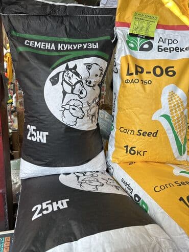семена кукурузы мегатон: Семена: Кукуруза, Самовывоз — 8