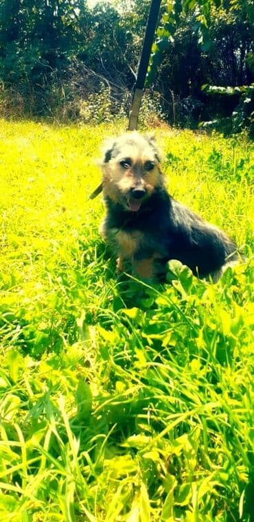 казакча той ырлары 2020 скачать: Чудесный мальчик Кузя ждёт своих мам и пап . Добрый активный мальчик — 3