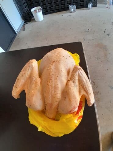 индюк самец: Продаю | Индюк (самец) | Бройлерная | Для разведения | Племенные — 6