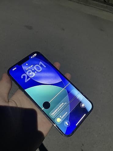 blulory glifo 7 pro: IPhone 13 Pro Max, Б/у, 256 ГБ, Серебристый, Защитное стекло, Чехол, 73 % — 1