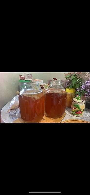 комбо: Домашний комбуча (чайный гриб) в банках 3 л - Напиток натуральной — 4