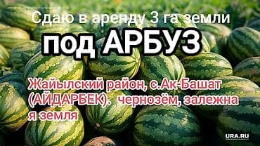 поливный земля: 300 соток Для сельского хозяйства — 1