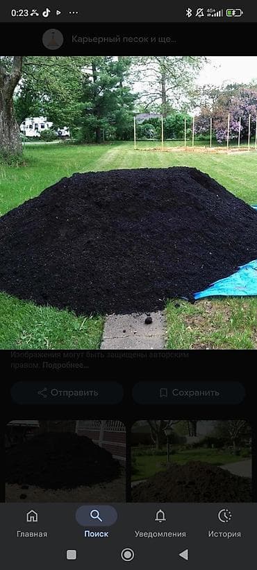 диван 1: В мешках, Портер — 1