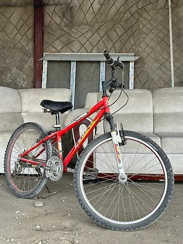 семейный велик: Горный велосипед, Сталь — 1