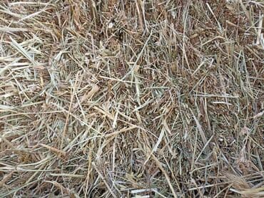 ко шамо: 1укос аралаш доставка есть 70шт — 2