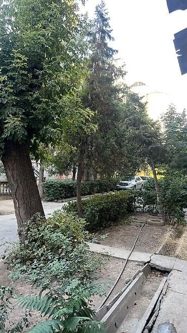 сдаю моссовет: 3 комнаты, 54 м², Индивидуалка, 4 этаж, Старый ремонт — 8