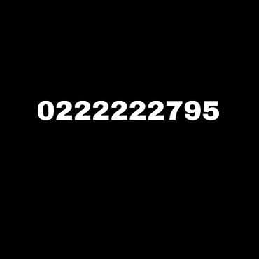 Красивая «зеркальная» SIM‑комбинация: 0222222795 - Удобный