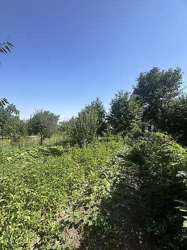 дача надежда: 🏡 ПРОДАЁТСЯ ДАЧА В КАШКА-СУУ 📍 Перспективная локация у подножия гор — 8