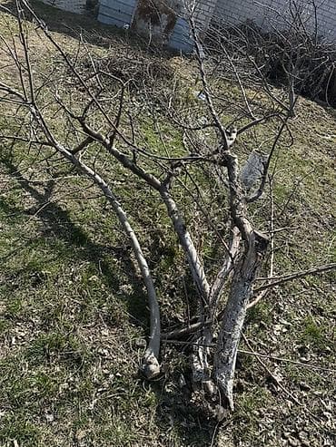 Декор для дома и сада: Дрова — 3