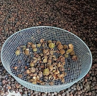 компостер: Другая сетка — 2