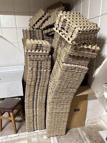 лоток для яйца: Лот: бумажные лотки для яиц (пресованный картон) 1500шт - Тип — 3