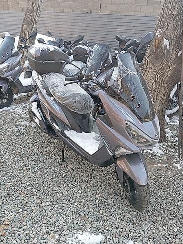 Мототехника: Скутер с ветровым стеклом и кофром Описание: - Современный городской — 1