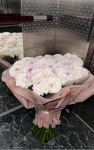 растовые куклы: 1) Георгин Эвелин (Eveline) 70см 2(6000 с взяли )цена : 4000 с 3) — 2