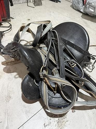 Комплект конской упряжи и седло. - Классическое седло из чёрной кожи