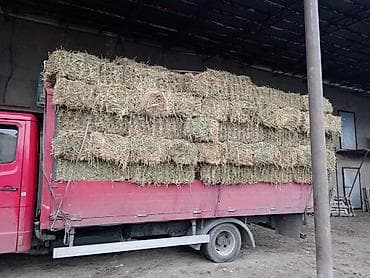 сена тюки: Сено в тюках клевер ☘️ ☘️☘️ цена 380 кипы) - Заготовка — 3