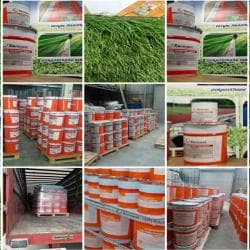 Двухкомпонентный полиуретановый клей для искусственной травы KENNCOAT